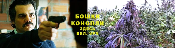 стаф Бердск